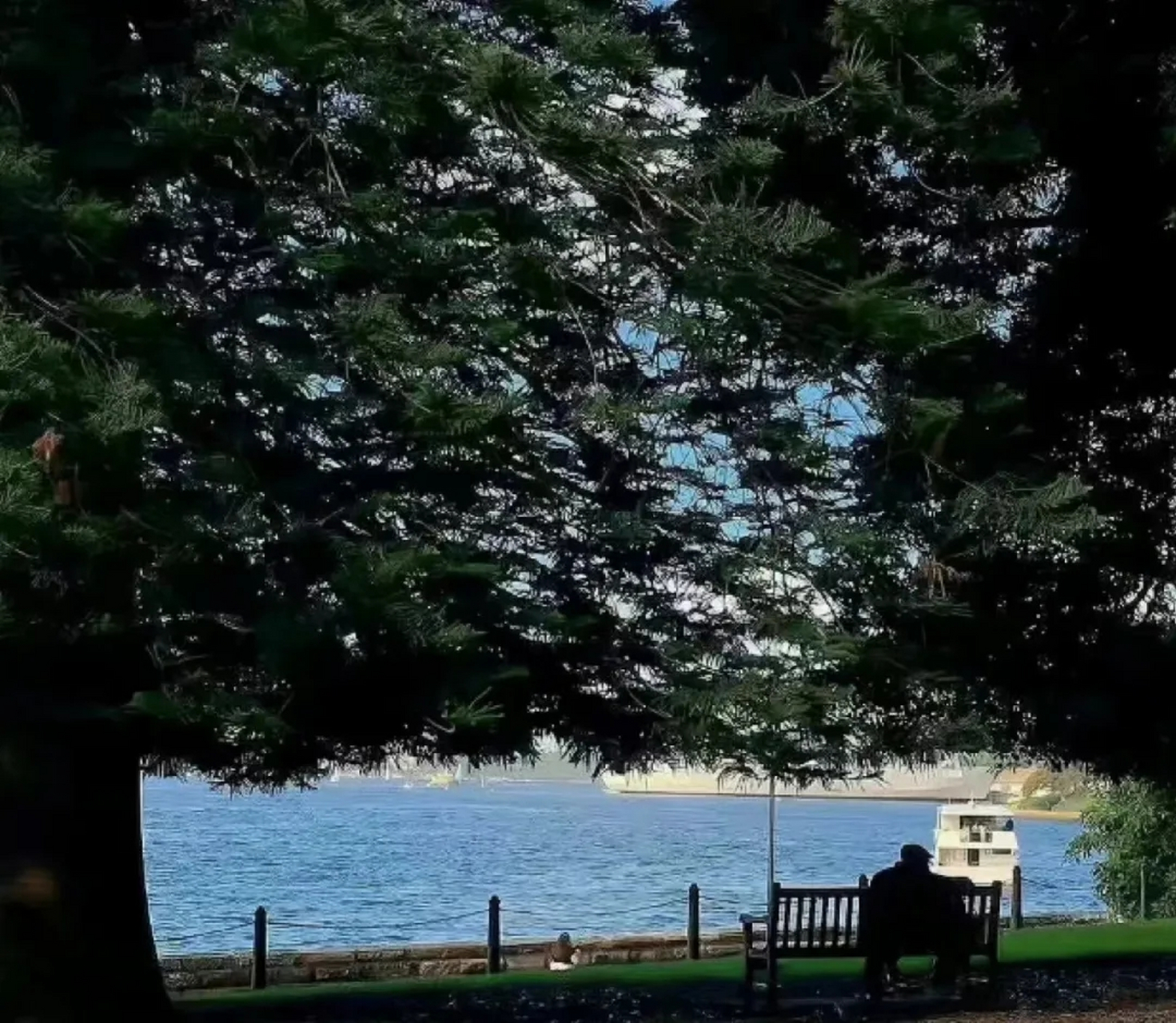 来日不方长人走茶已凉 起初,总觉得来日方长,什么都有机会,殊不知人生