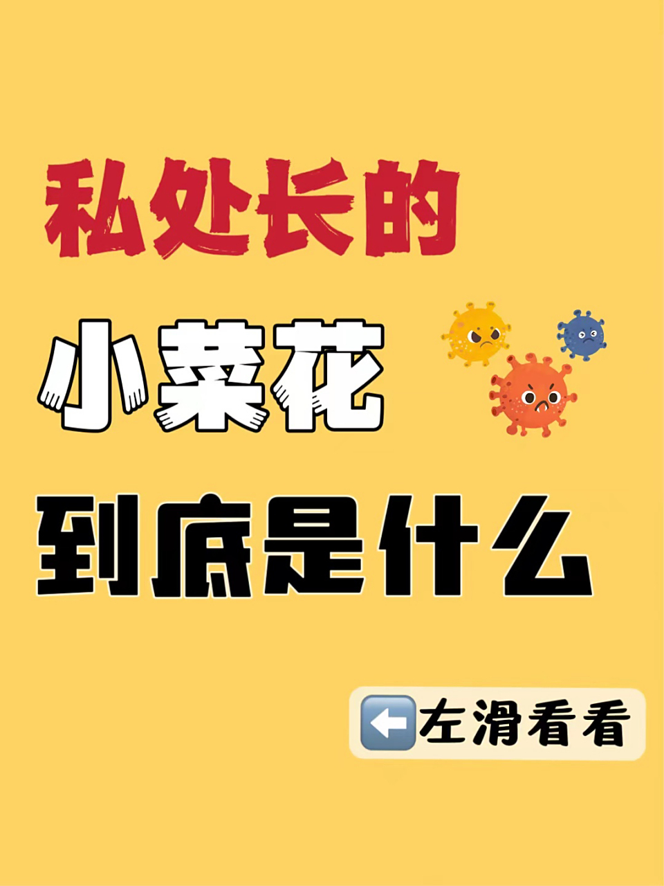 起初的小白花到底是什么?