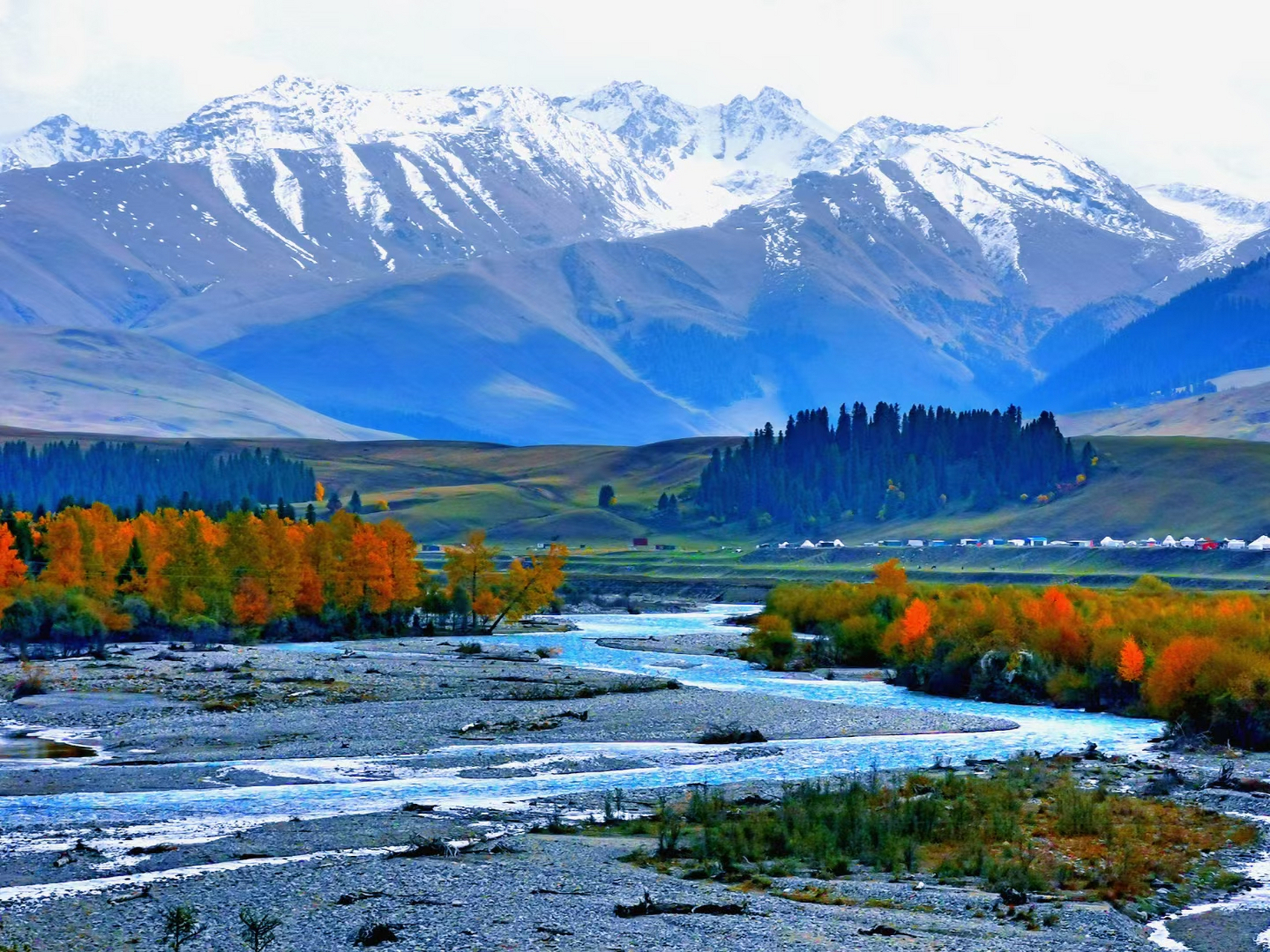 新疆伊犁,百里画廊,蓝天白云,流泉滚滚,绿草茵茵,溪水淙淙,云衫密林