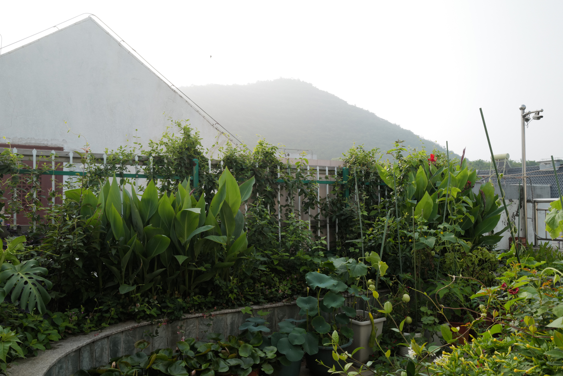 只有综合素养比较高的人复读才有可能超越自己以往成绩,最终能考进