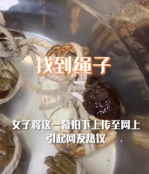 女子买了几只螃蟹放盆里 靠近后意外拍下绝望一幕