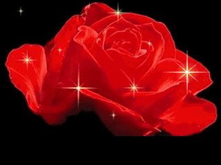 320_240gif 动态图 动图