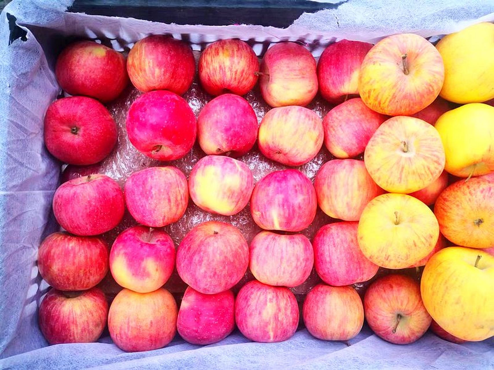 这种水果我们叫做圣女果,也叫做春桃的,还有叫做小西红柿的,味道真的