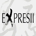 Expresii 2019 非常好用的数字水墨画绘制软件