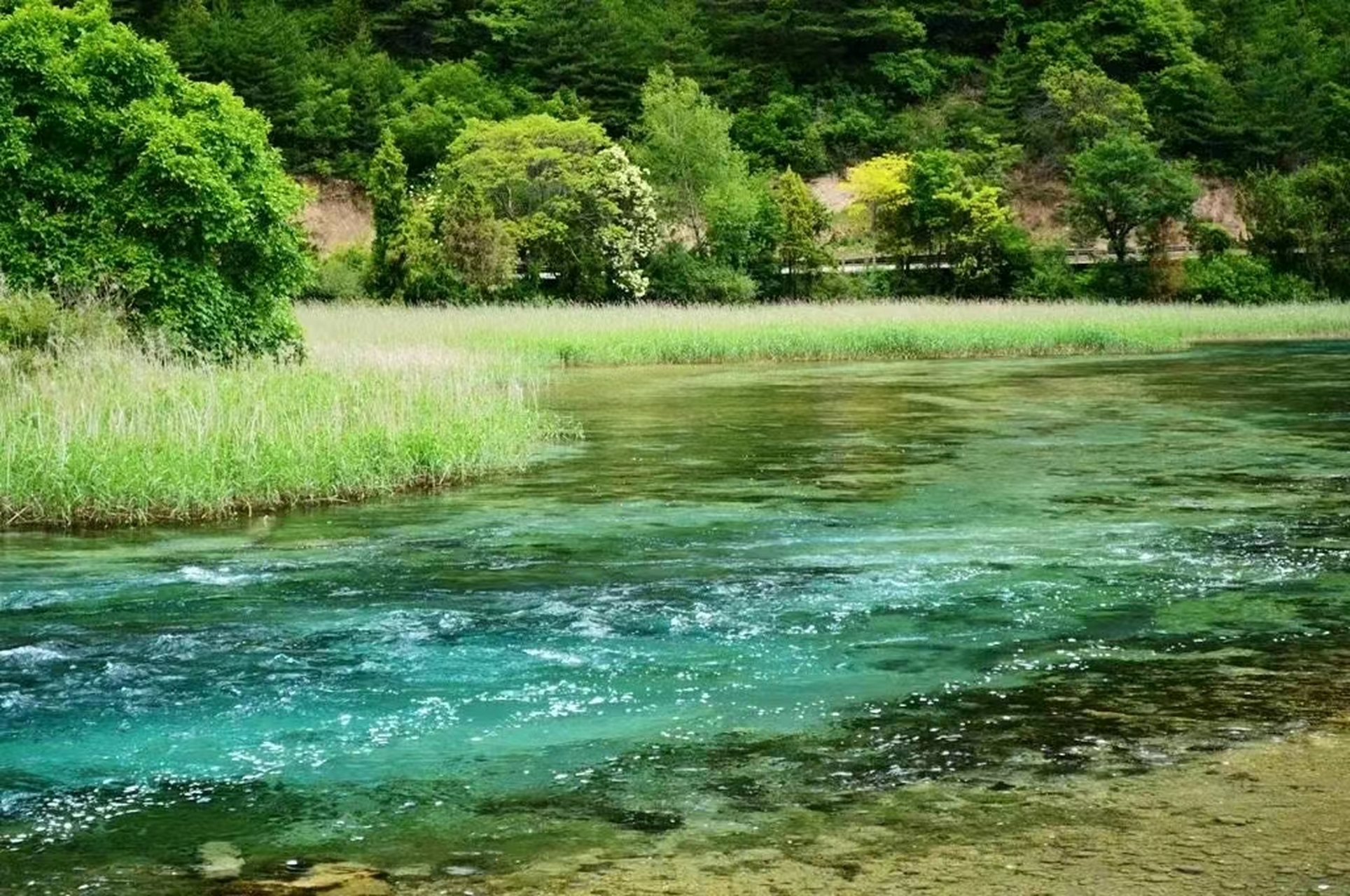 ai寫的詩,好有意思: 在這翠綠的山林中, 湖水清澈如同明鏡, 閒庭