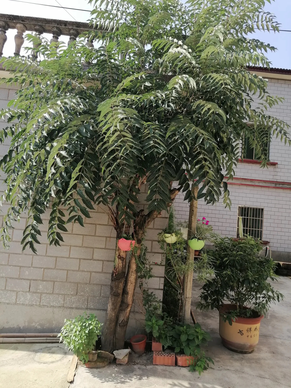 说出来不怕你笑话,我今天因为不舍得180元一张门票