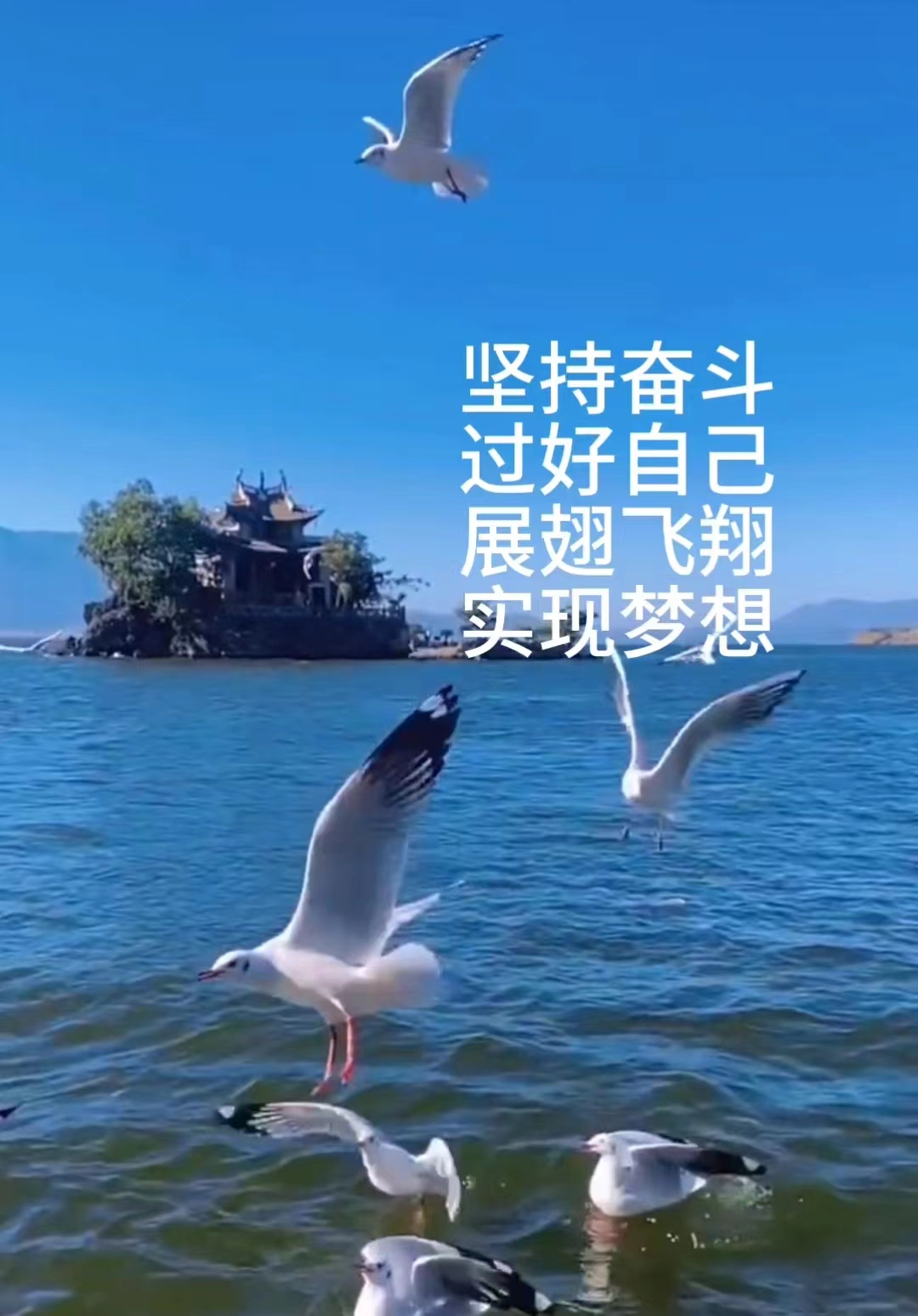 你也是和我一样努力活出自己的样子吗