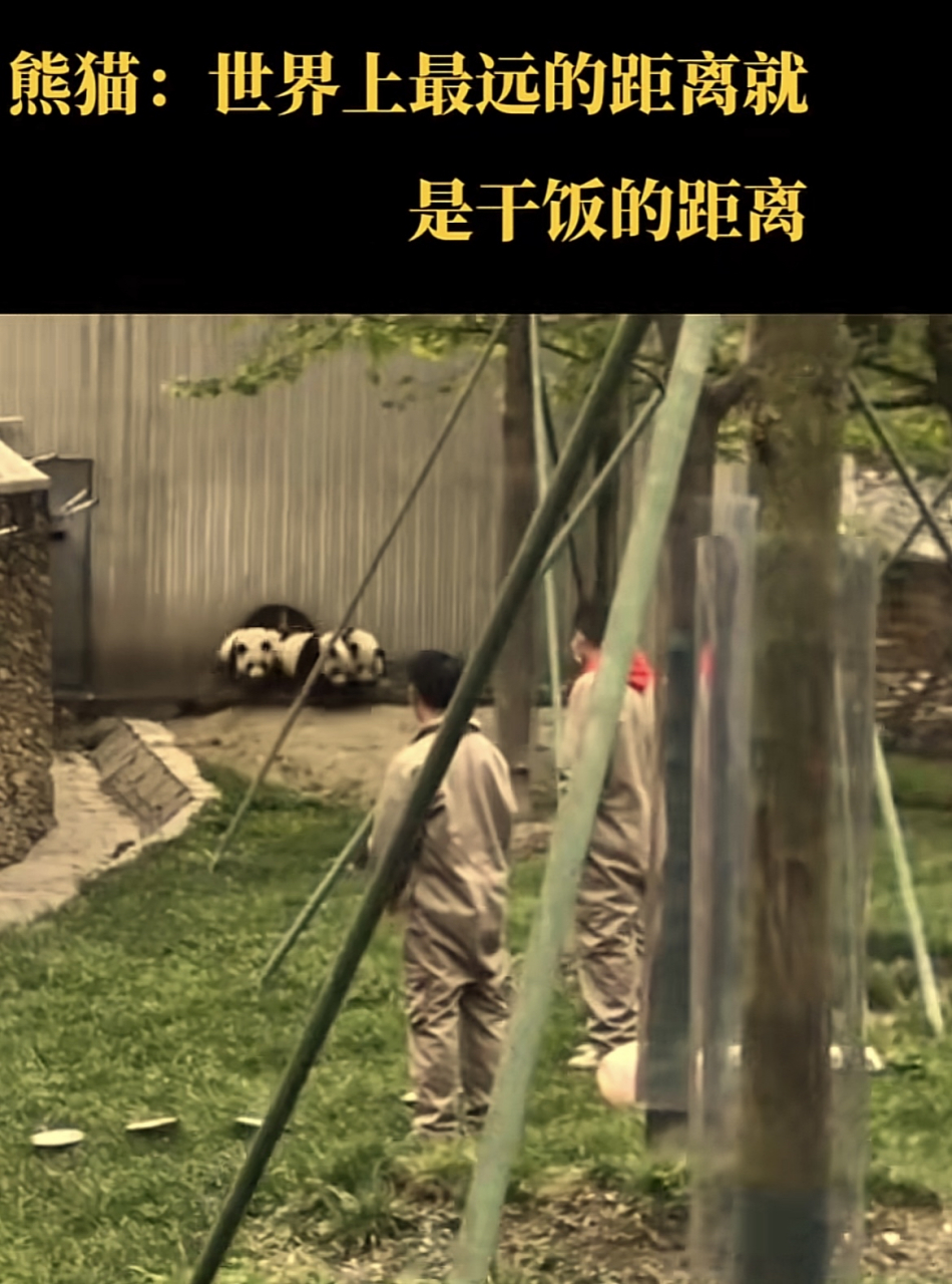 干饭啦!干饭就要整整齐齐.#秋日生活创作季3