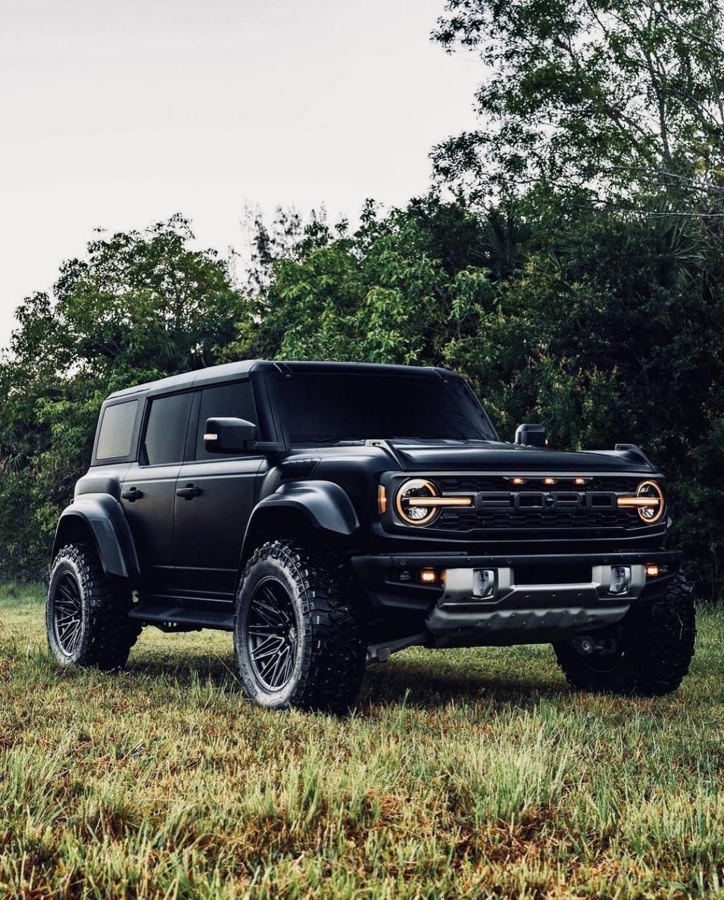 硬派越野车#福特烈马猛禽版