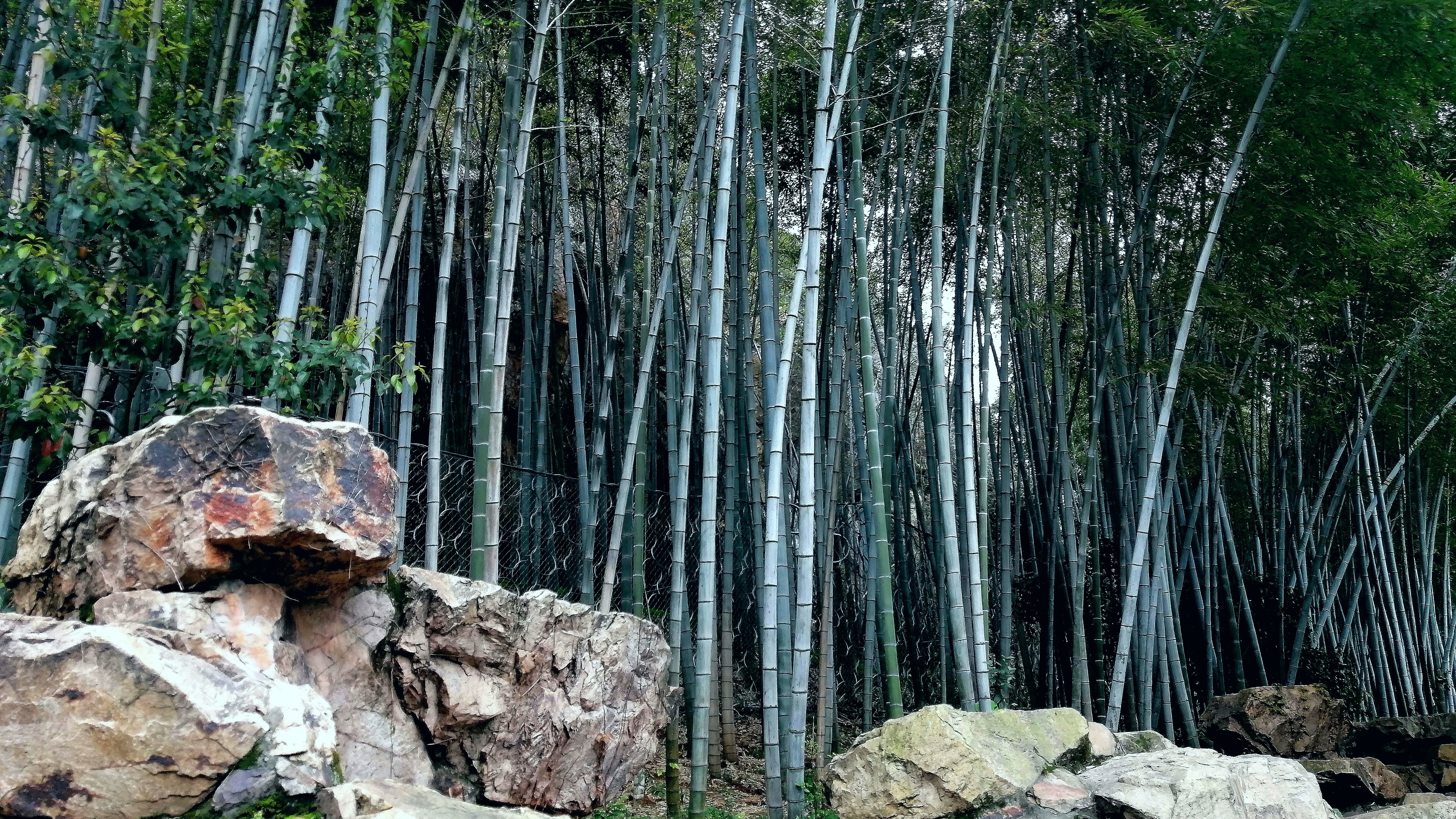 山与水的灵秀,温州绣山公园掠影