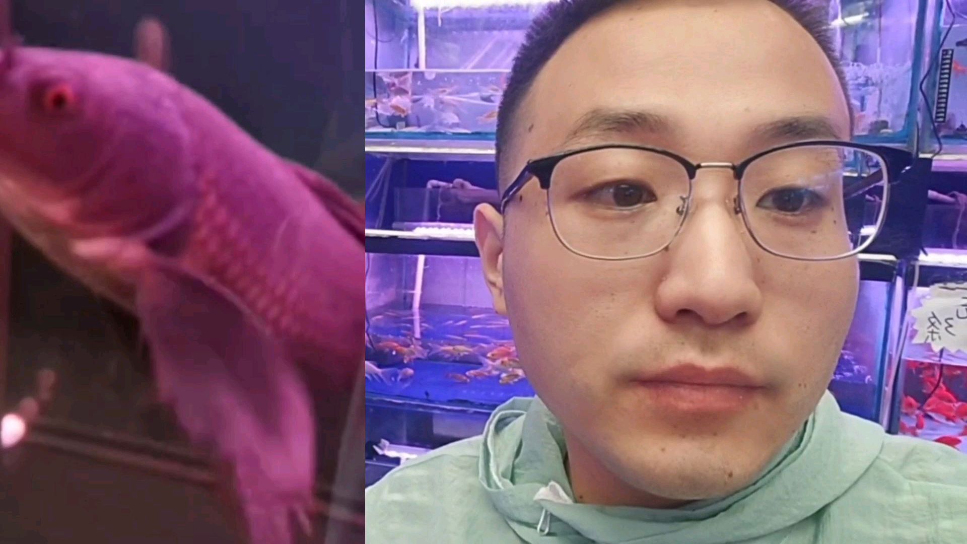 大早晨顾客给我打电话说她家鱼有白点了!这个季节一定要注意