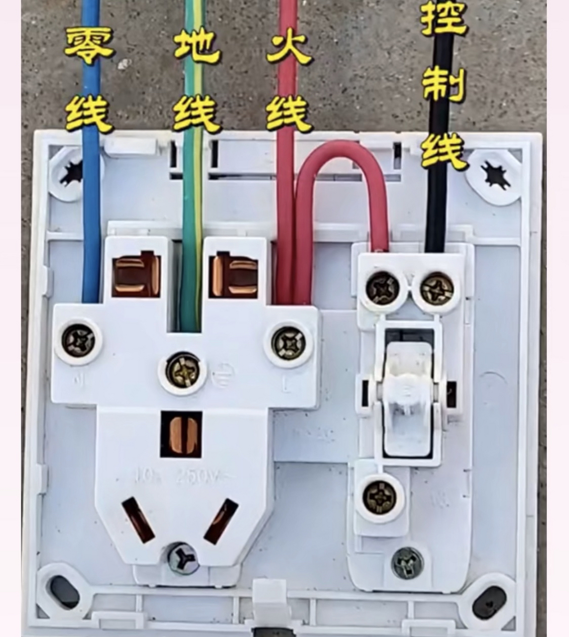 家庭电路,一开五孔开关接线#电工#电工基础