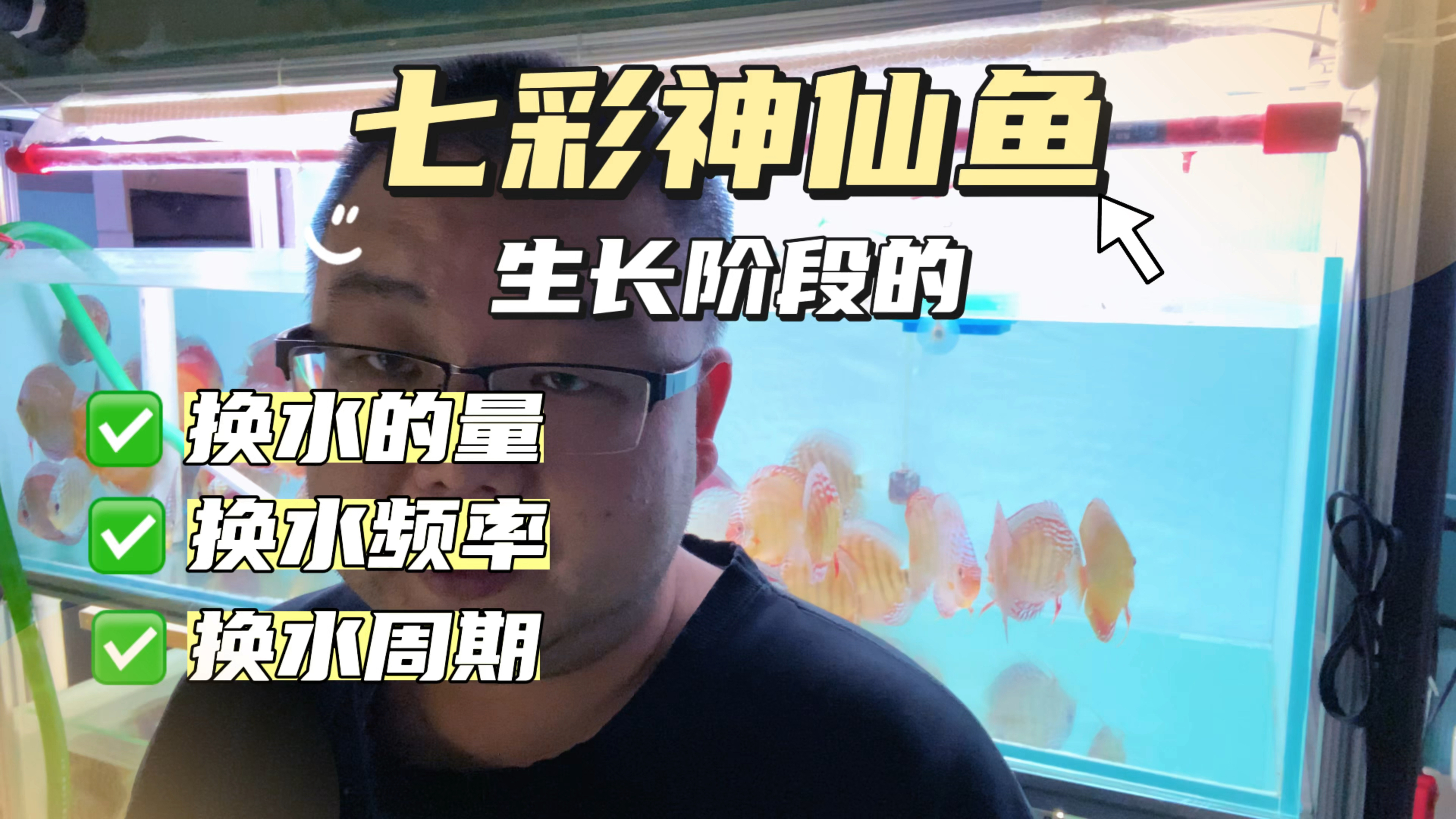 七彩神仙鱼小苗和生长阶段的鱼,换水应该怎么换,每次的换水量