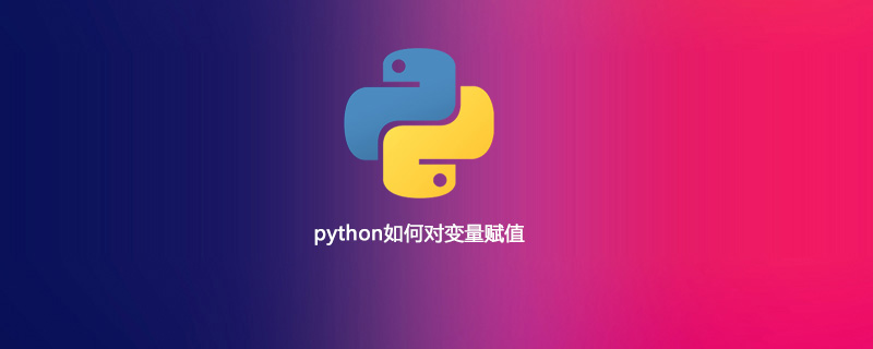 python中如何给变量赋值