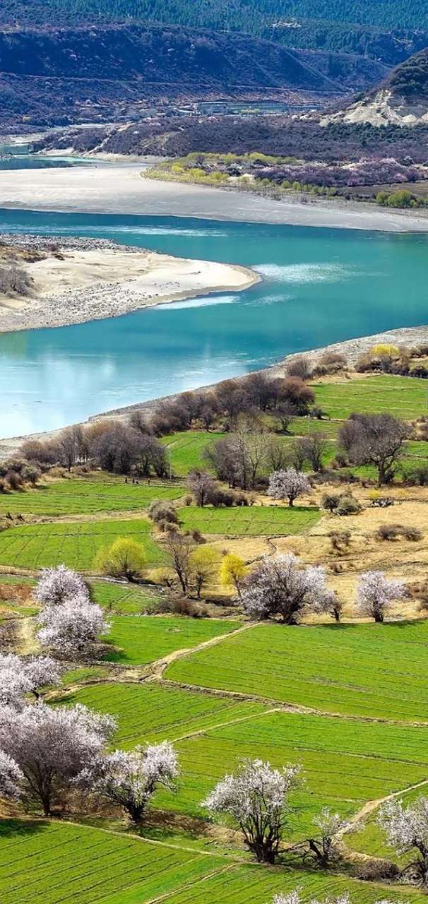 风景图片分享:#微信头像