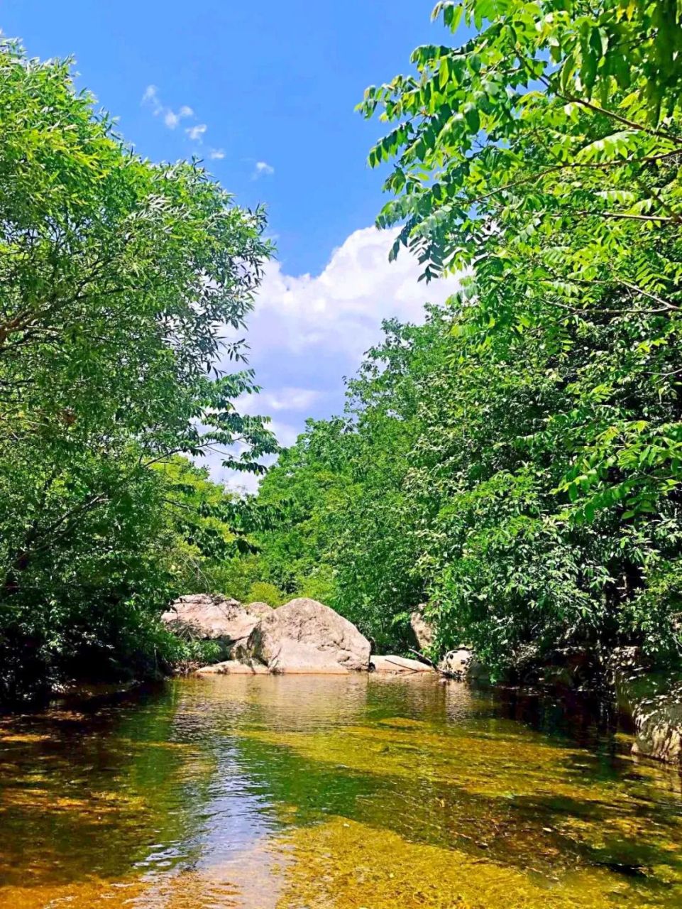 宝藏创作者计划# 白鹰河位于嵩县车村镇,车村镇地处伏牛山腹地,是