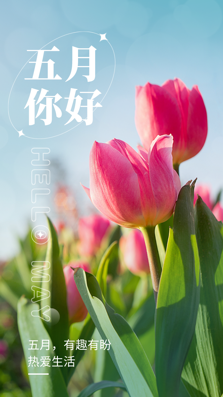 今日份壁纸 5月你好