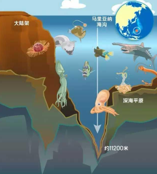 海沟如何形成图片