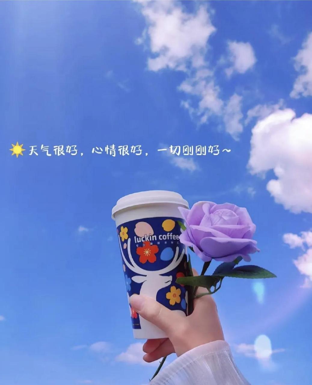 使用微信运动功能会公开用户的健身数据和活动轨迹,对于一些注重隐私