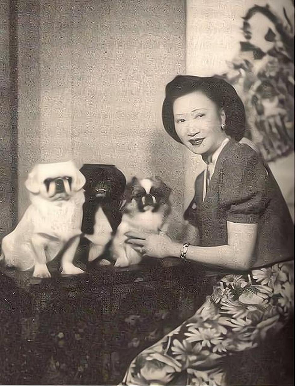 59年,当妻子黄蕙兰入睡后,顾维钧偷偷走进了严幼韵的房间.