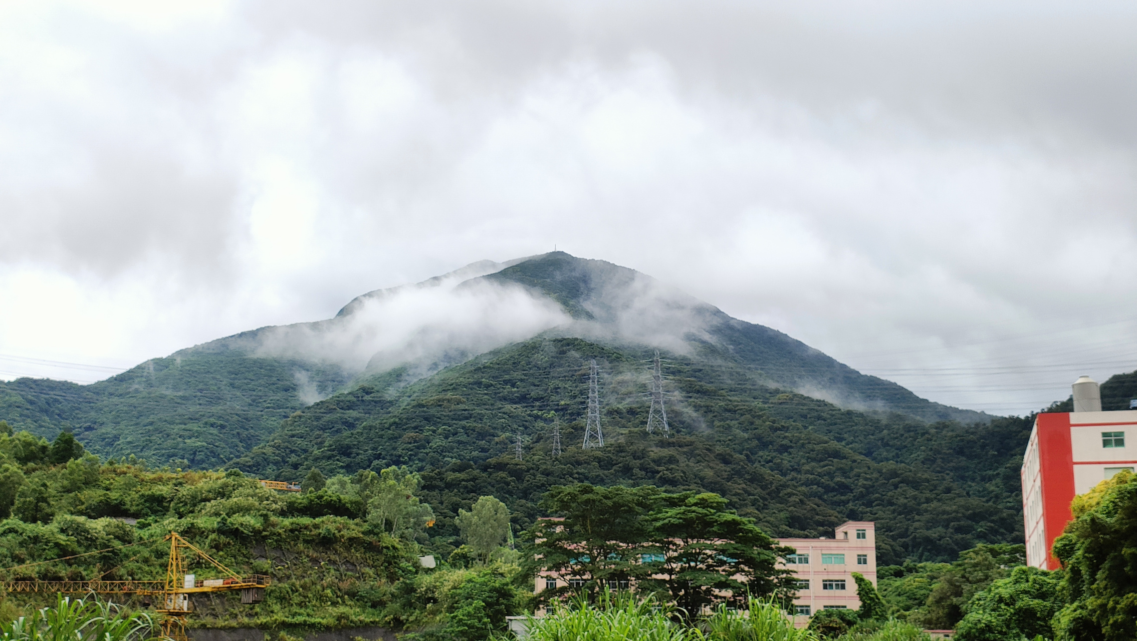 深圳梧桐山