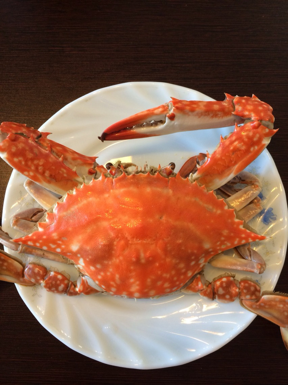 每天认识一种动物——梭子蟹 梭子蟹 别名海蟹,三点蟹,三疣梭子蟹,原