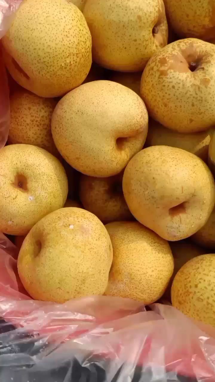 砀山梨,由库存不当,造成严重后果