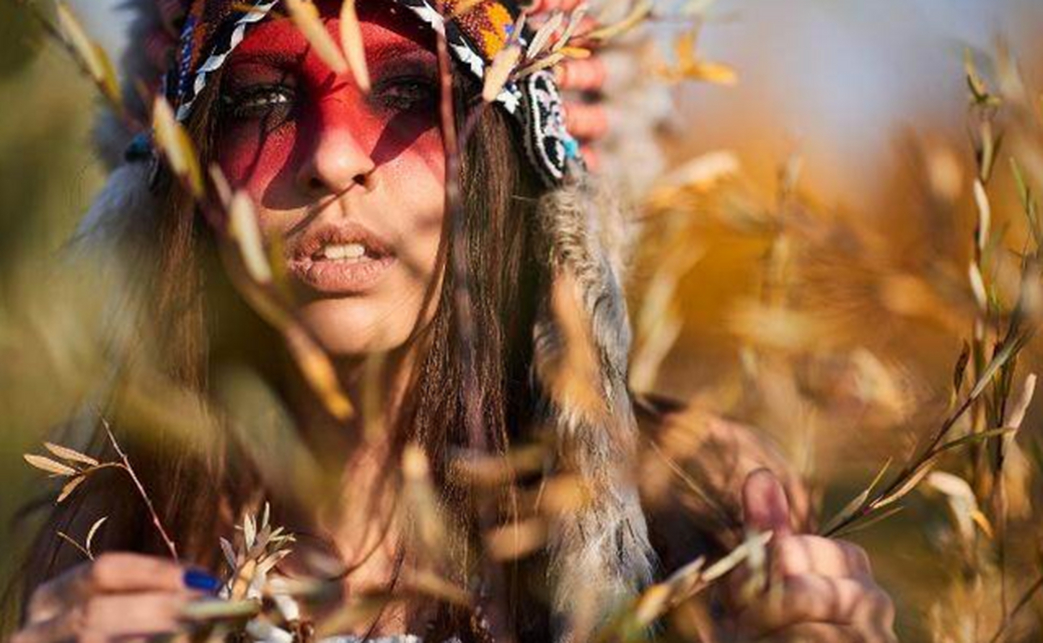 1784年~1795年,美国和印第安人爆发了三次规模较大的战争, 1795年8月3