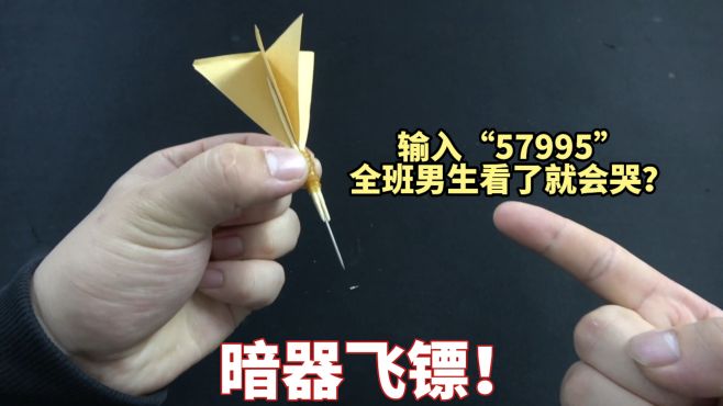 用牙签和针就能制作暗器飞镖?