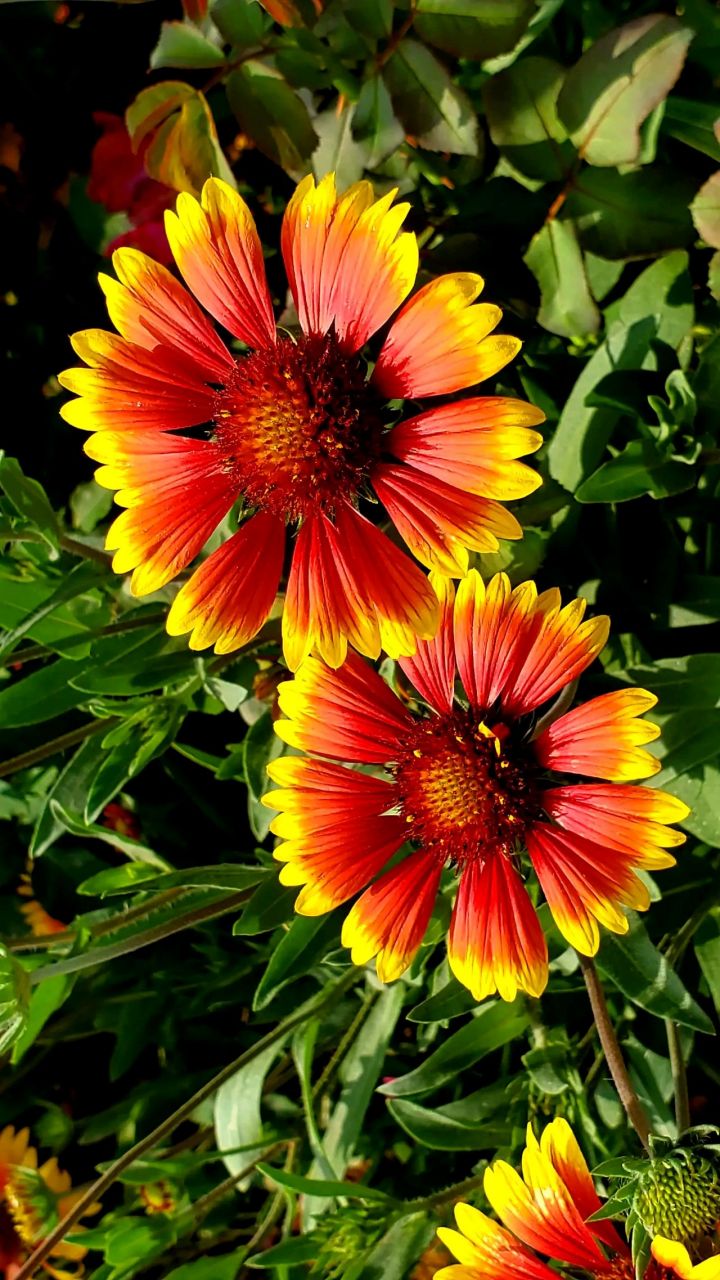 大伯子家的儿子 ,老公的宝贝侄子,高中没考上,去上3 2大专,三年后自己