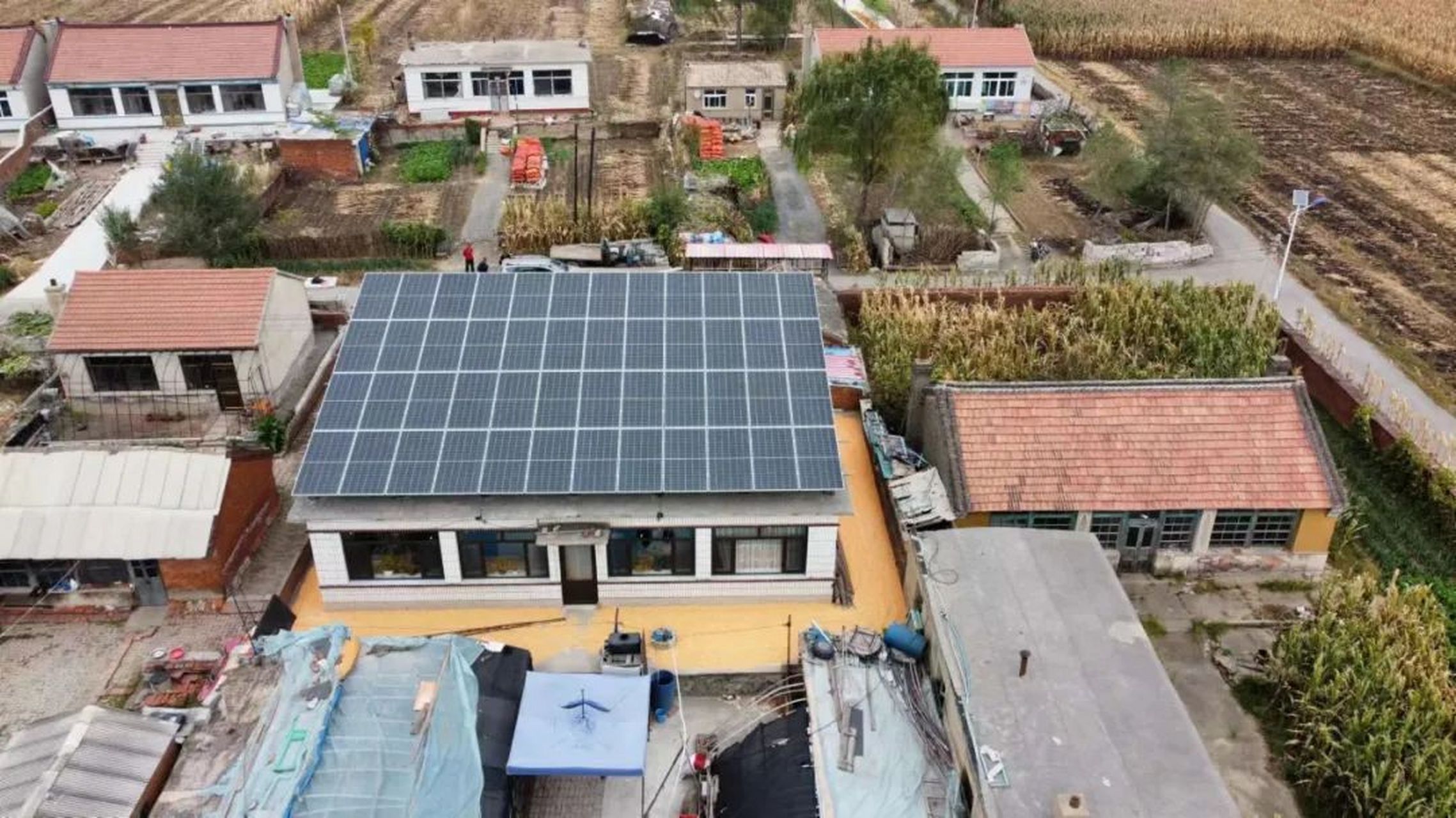 大辽宁在行动# #美好辽宁欢迎您# 【乡村振兴】辽宁省辽阳市罗大台镇