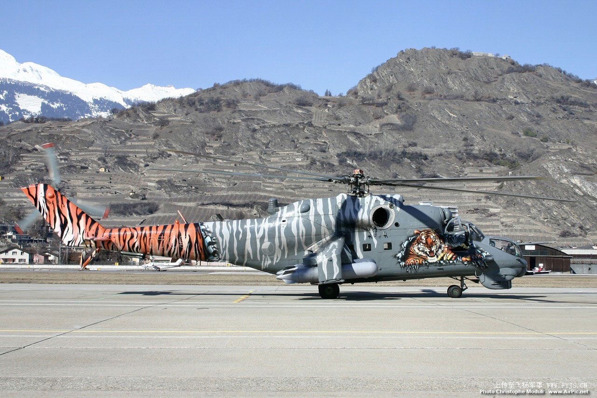 还是这豹纹老阿姨会玩……  91mi-24雌鹿武装直升机各种涂装,雌鹿也