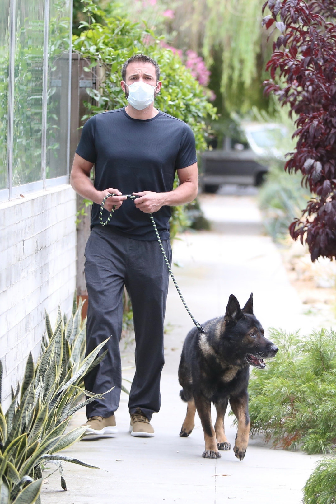 超型!本阿弗莱克ben affleck暴帅遛狗最新街拍!