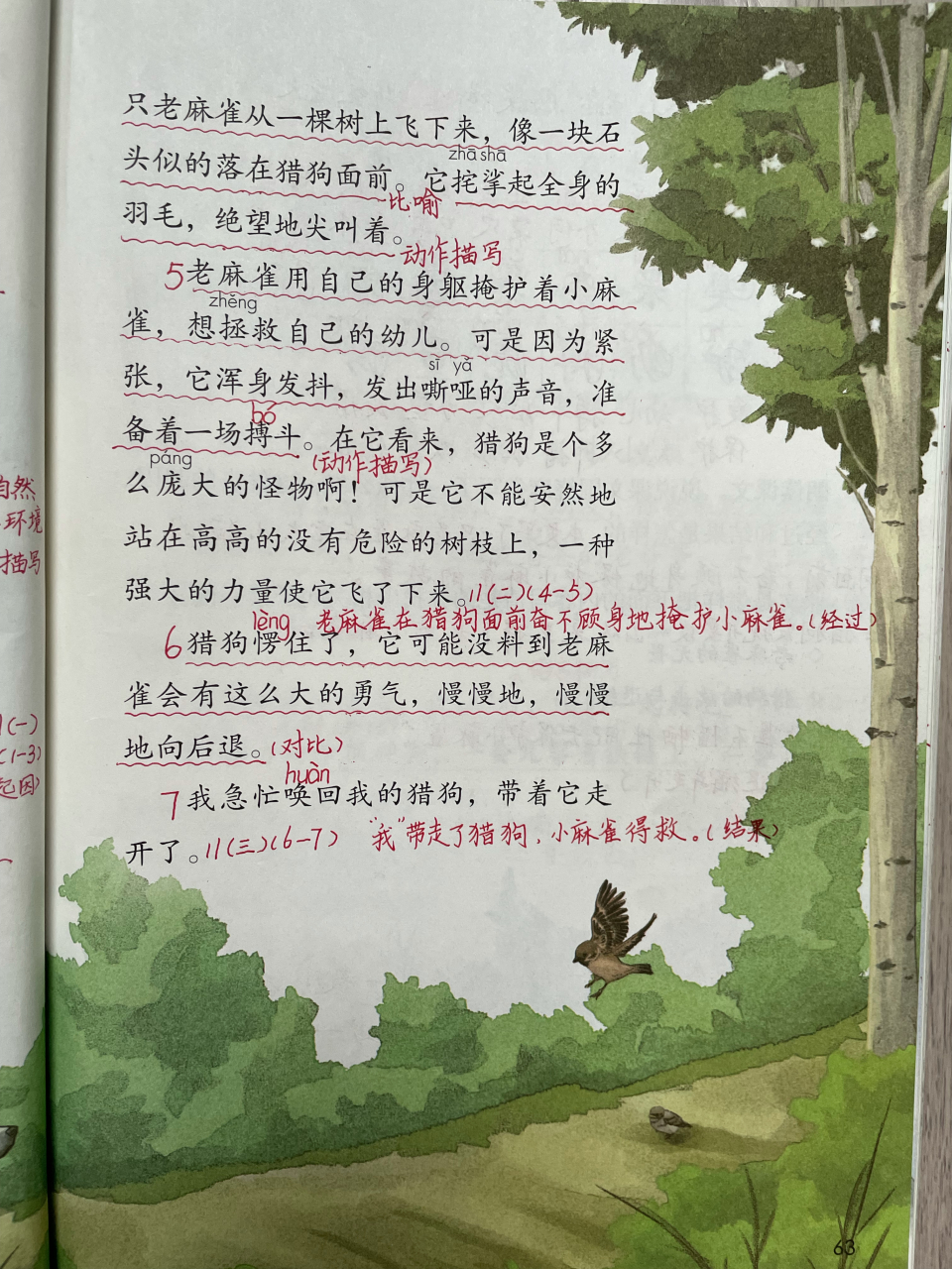 四年级语文上册第16课《麻雀》课堂笔记#四年级语文上册