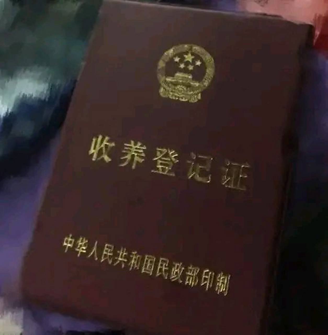 2019年,帮女儿还清几十万贷款后,母亲拿出领养证:你不是我亲生的.