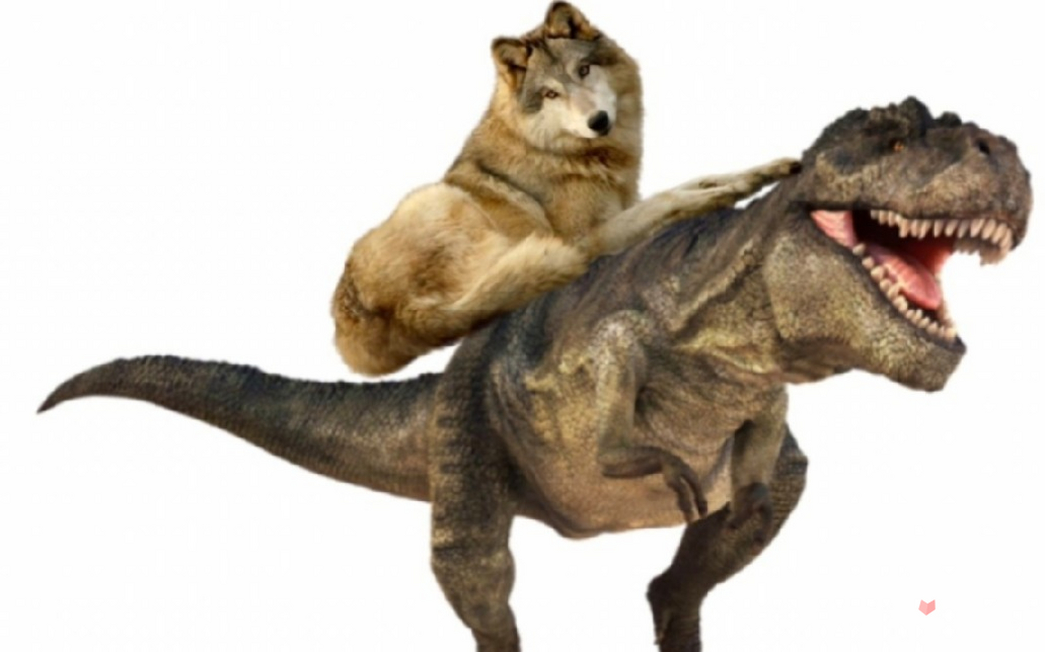 近期,一个名为"恐龙扛狼"的梗在网络上迅速流行起来,引发了广泛的