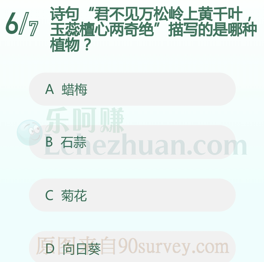 诗句君不见万松岭上黄千叶玉蕊檀心两奇绝描写的是蜡梅