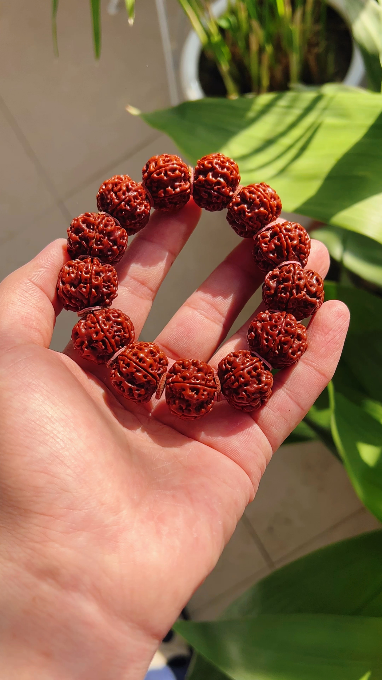 金刚菩提雪花扇面自然光看包浆的变化