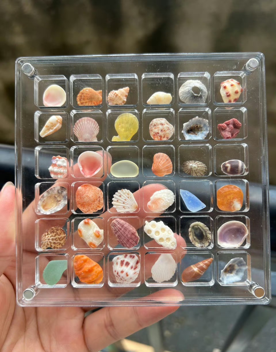 圈子越来越小 话也越来越少 有人称之为成熟 有人