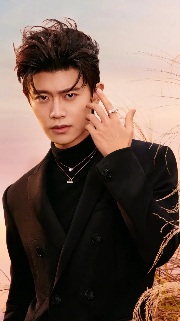 任嘉伦 这张脸实在是太帅了