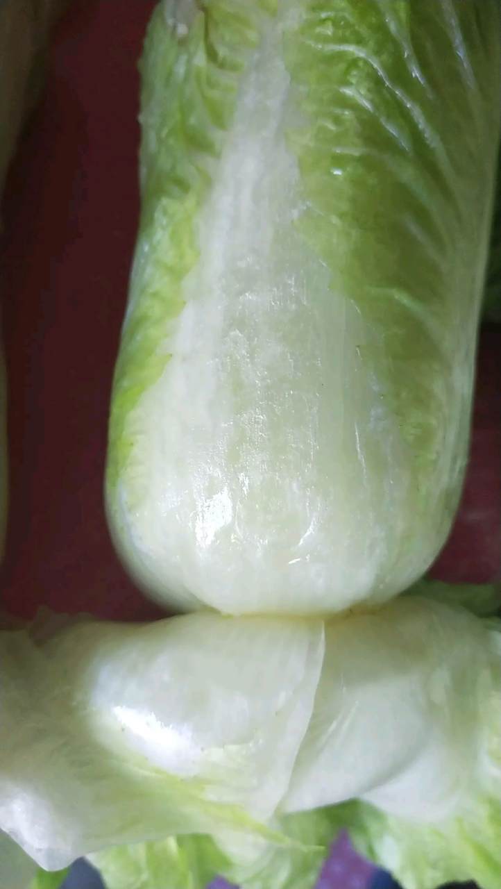 看看我家的冻白菜.