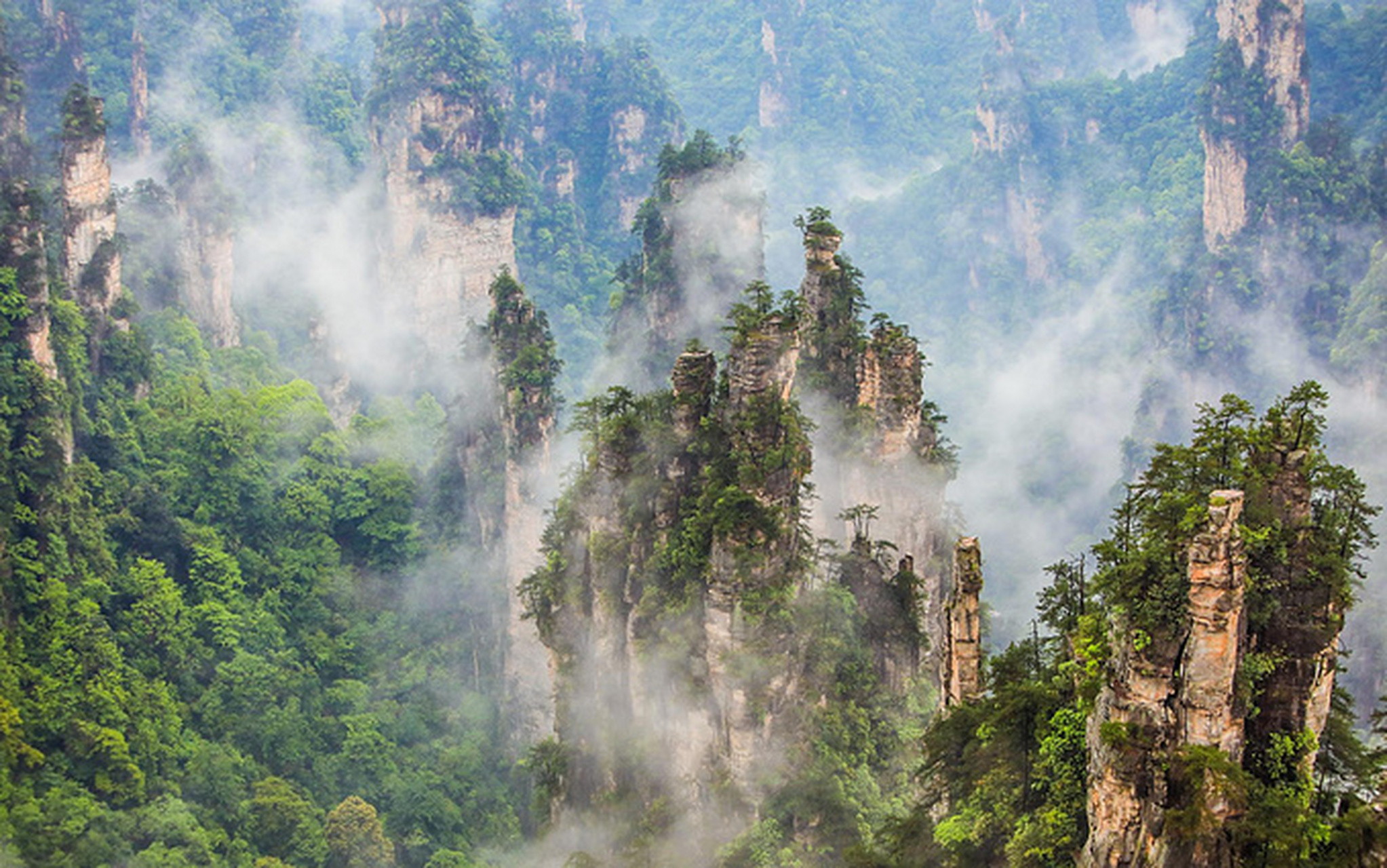 张家界国家森林公园旅游攻略 7115张家界 凤凰游5天4晚800 90