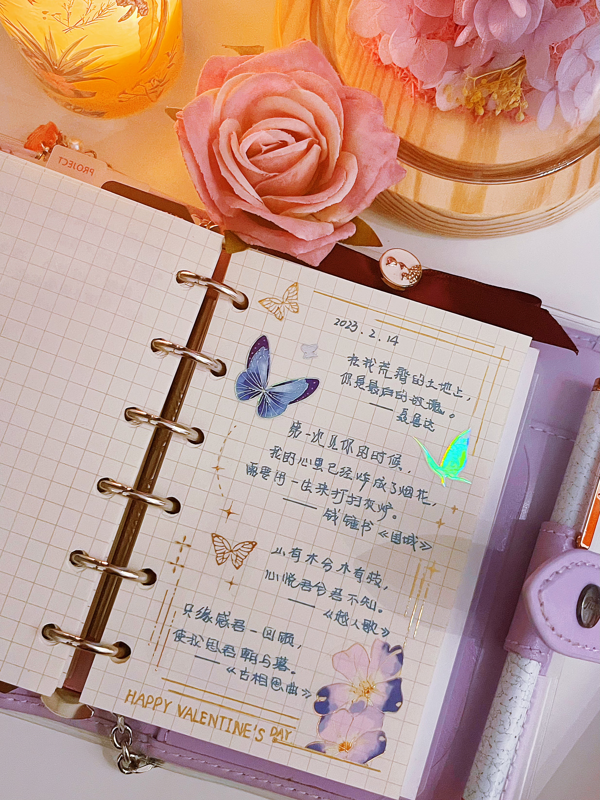那些可以写在手帐里的爱情:1,在我荒瘠的土地上,你是最后的玫瑰.