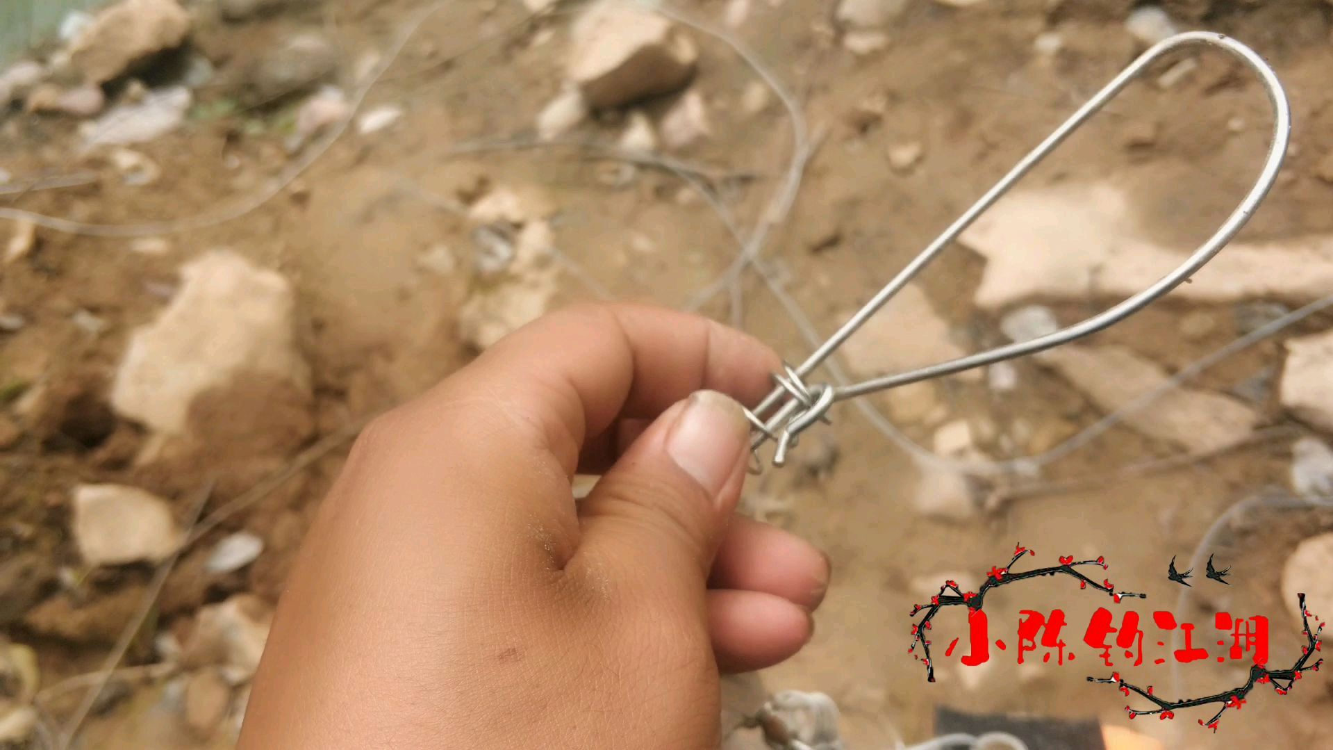 金属活鱼扣真的可以让鱼长时间存活吗?听听我的实际体验,你再买