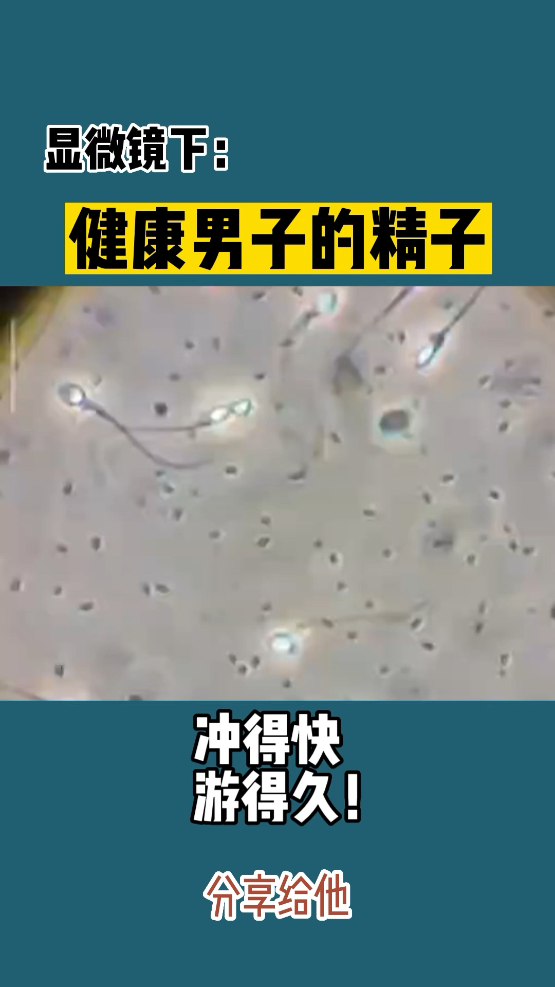 男人抽烟精子活力前后对比婚后生育必看