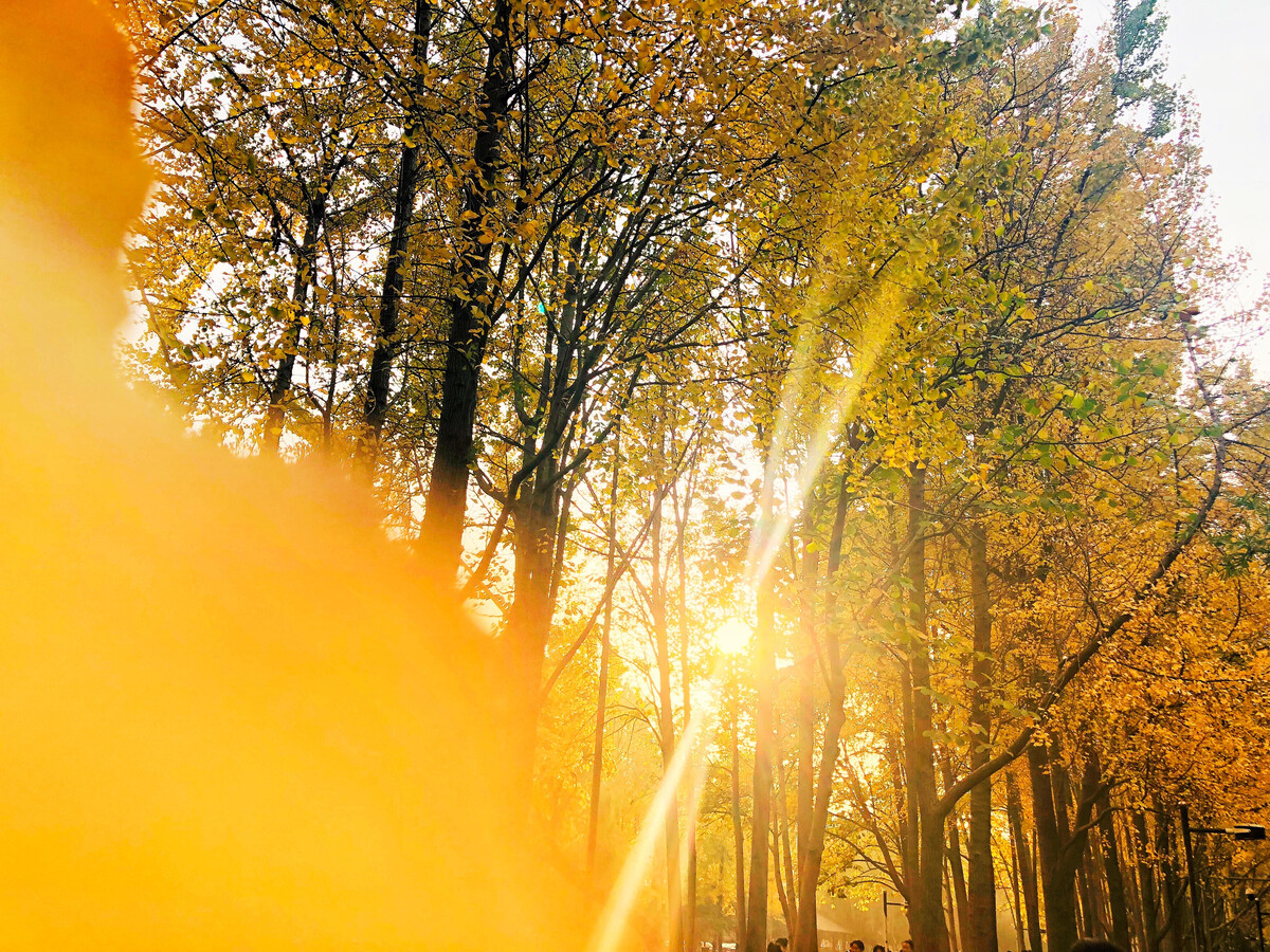 唯美,治愈系图片