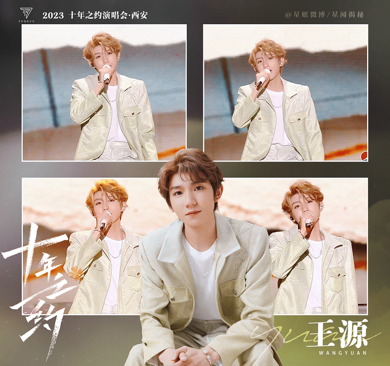 tfboys十周年演唱会王源动图来啦!