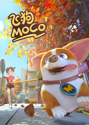 飞狗MOCO 2020