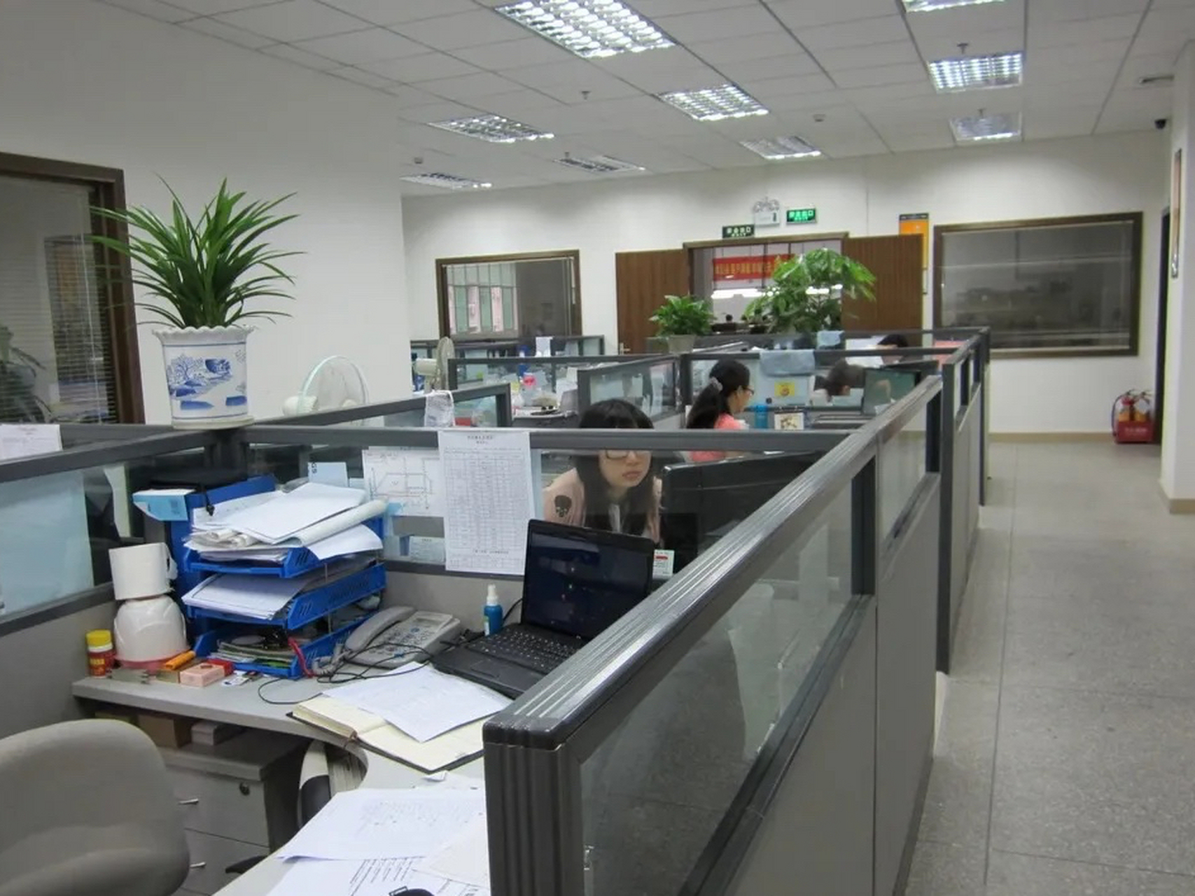 税务会计是位年轻女子,一上班就满头大汗的冲进办公室,直呼:"太热了