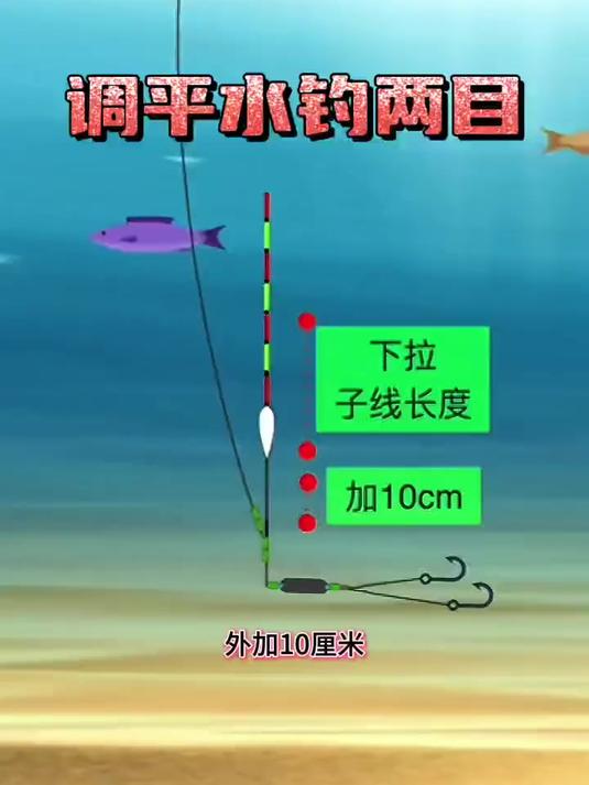 钓鱼调平水钓两目教程,简单易懂!